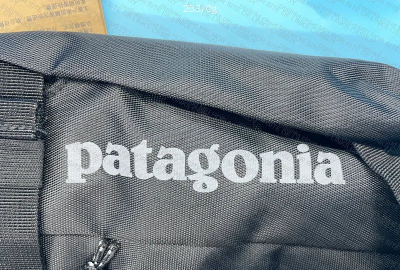 bag patagonia 5
