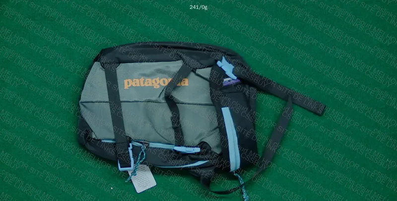 bag patagonia