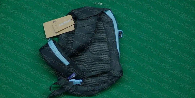 bag patagonia 2