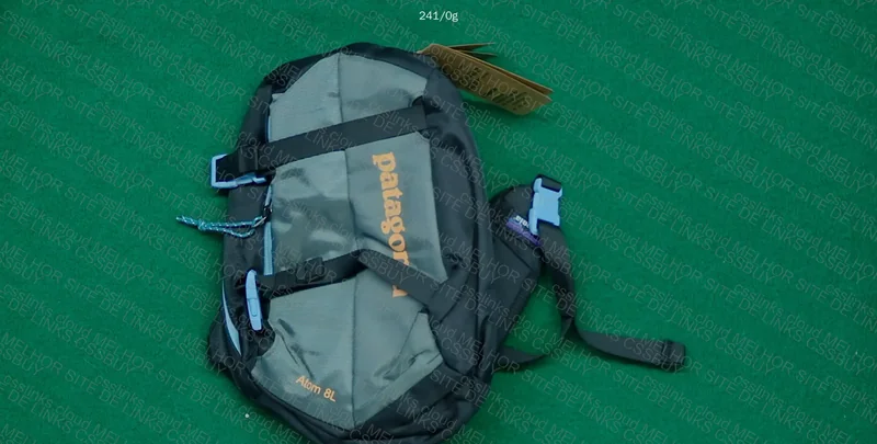 bag patagonia 3