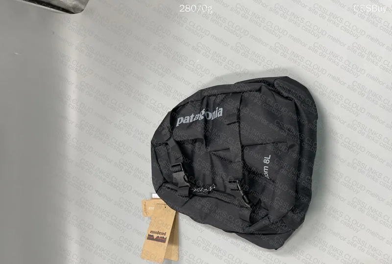 Black Patagonia Bag 2