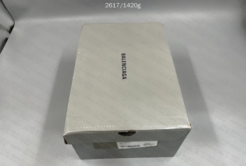 Balenciaga 10xl Sneakers 4