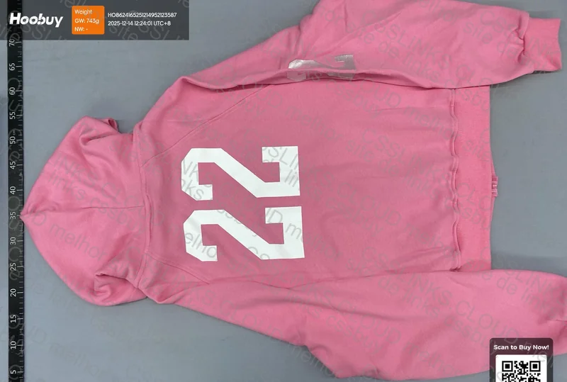 Balenciaga AW22 Pink Polo Hoodie