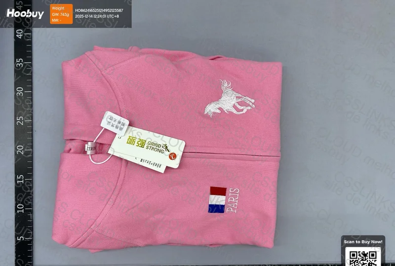 Balenciaga AW22 Pink Polo Hoodie 3