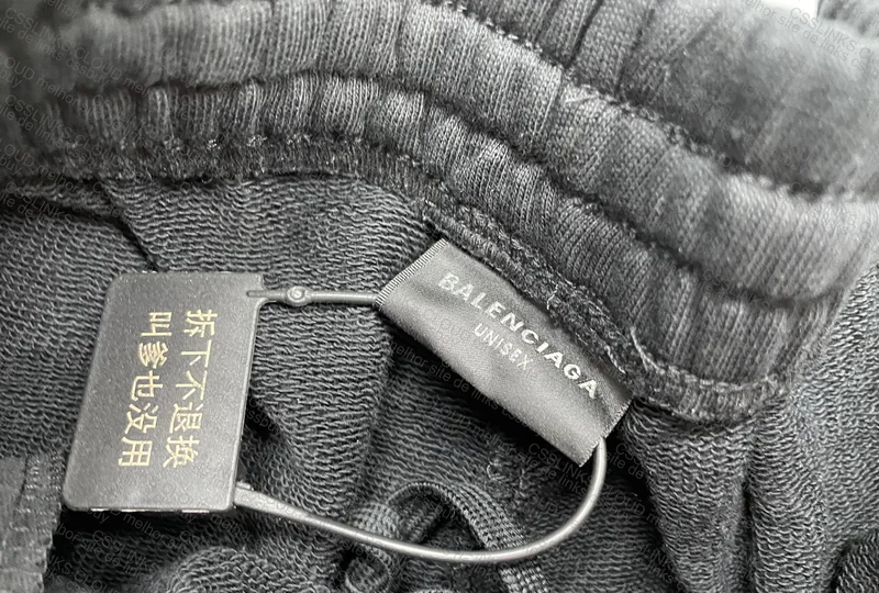 Balenciaga SS24 Unity Sweatpants 3