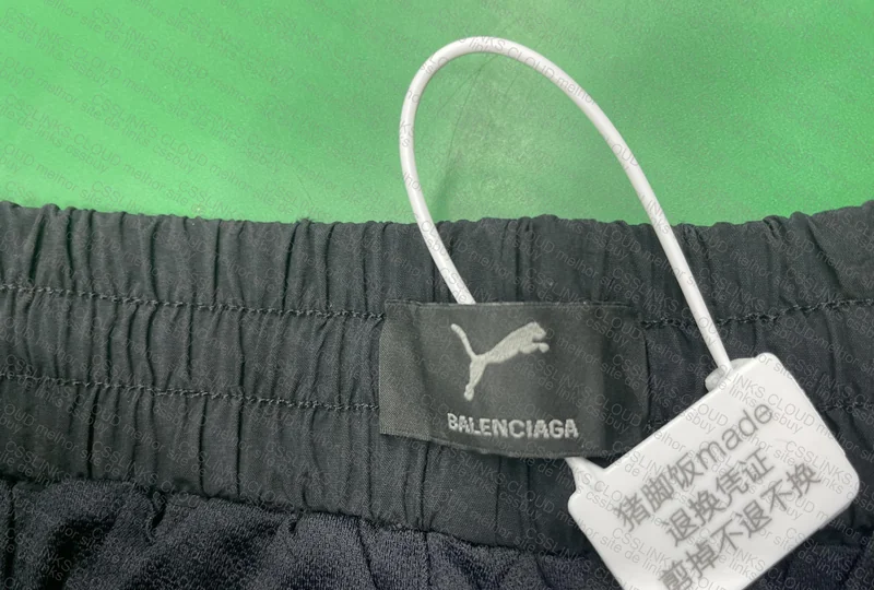 Balenciaga x Puma Tracksuit Pants 4