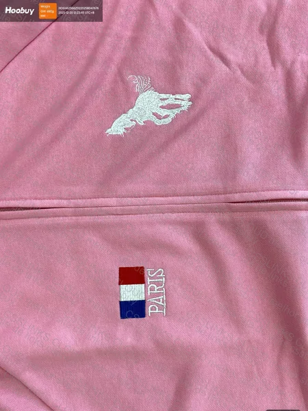 balenicaga fw22 polo hoodie
