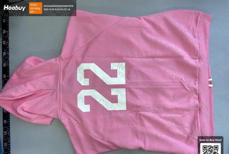 balenicaga fw22 polo hoodie 3