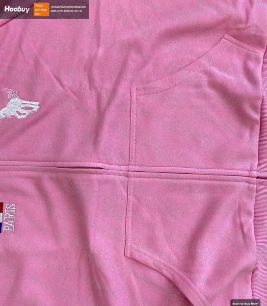 balenicaga fw22 polo hoodie 5