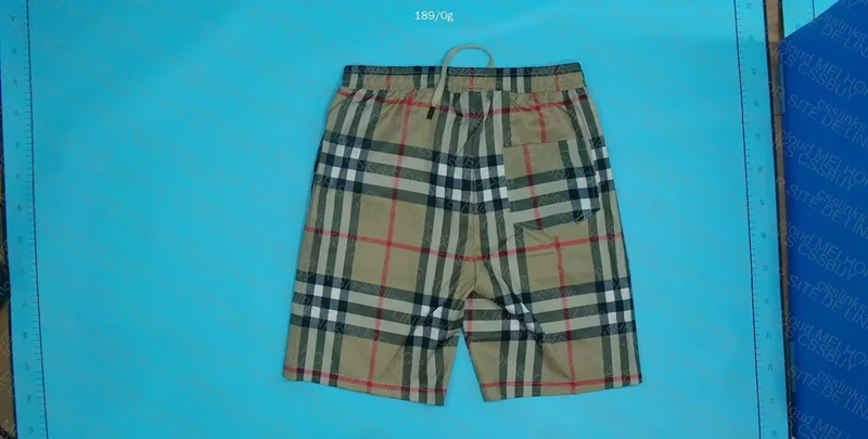 Burberry Shorts 2