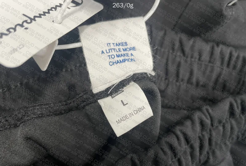 Champion Shorts 2