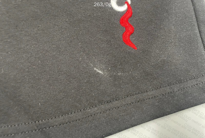 Champion Shorts 5