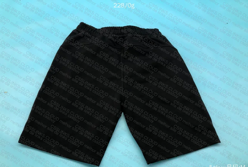 Champion Shorts 2