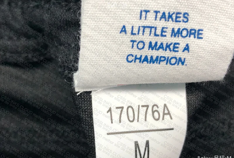 Champion Shorts 4