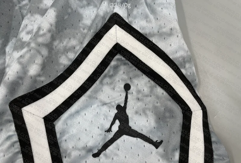 Jordan Shorts 3