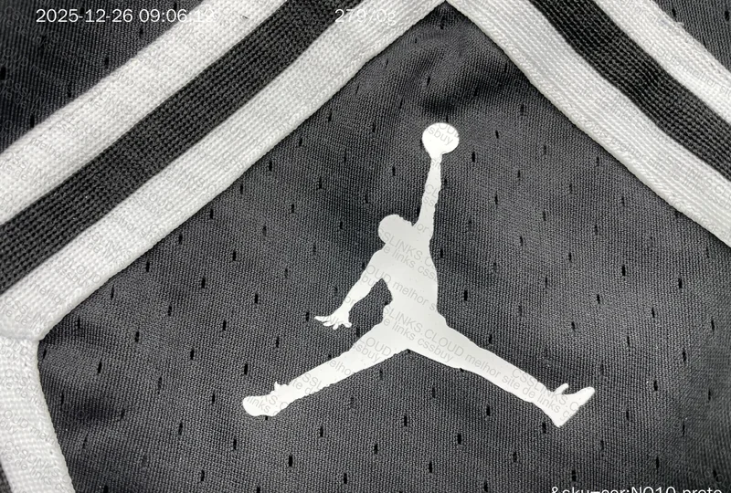 Jordan Shorts 2