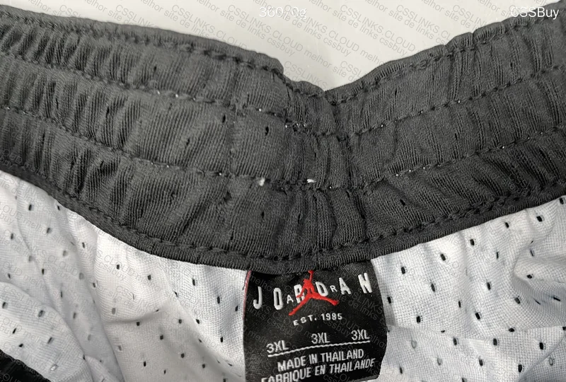 Nike Jordan Shorts 2