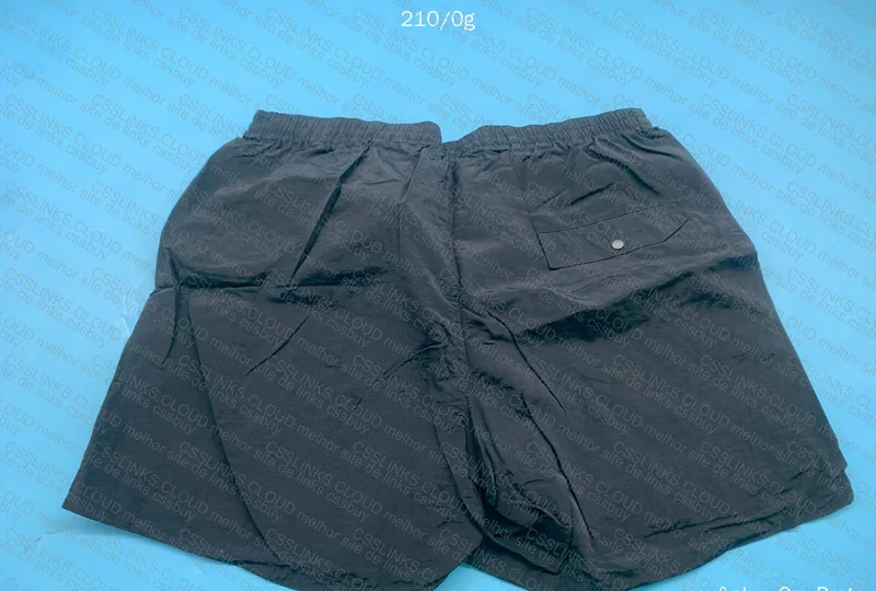 Patagonia Shorts 2