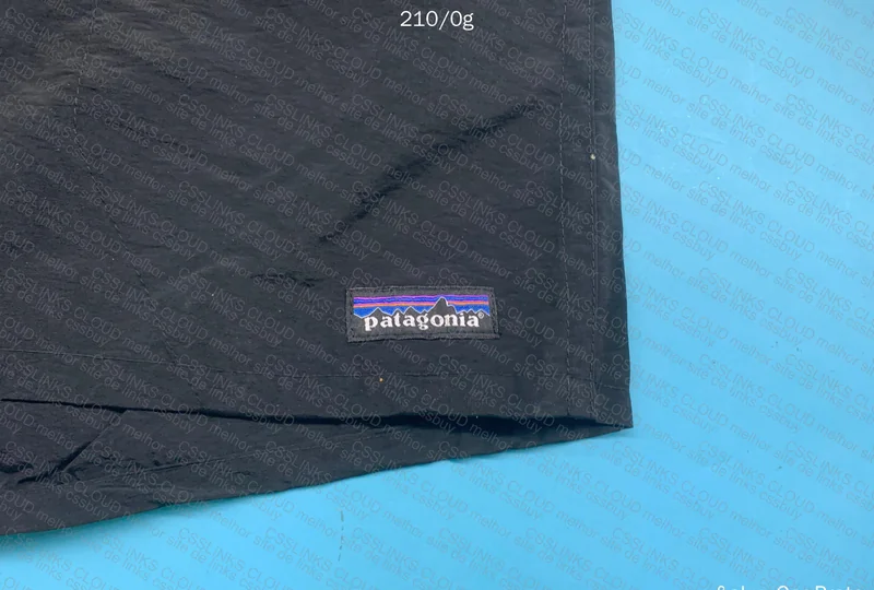 Patagonia Shorts 3