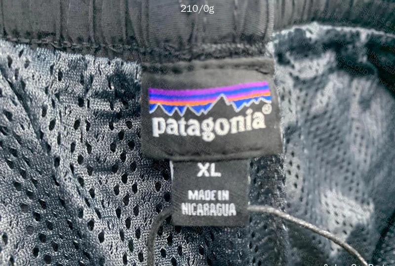 Patagonia Shorts 4