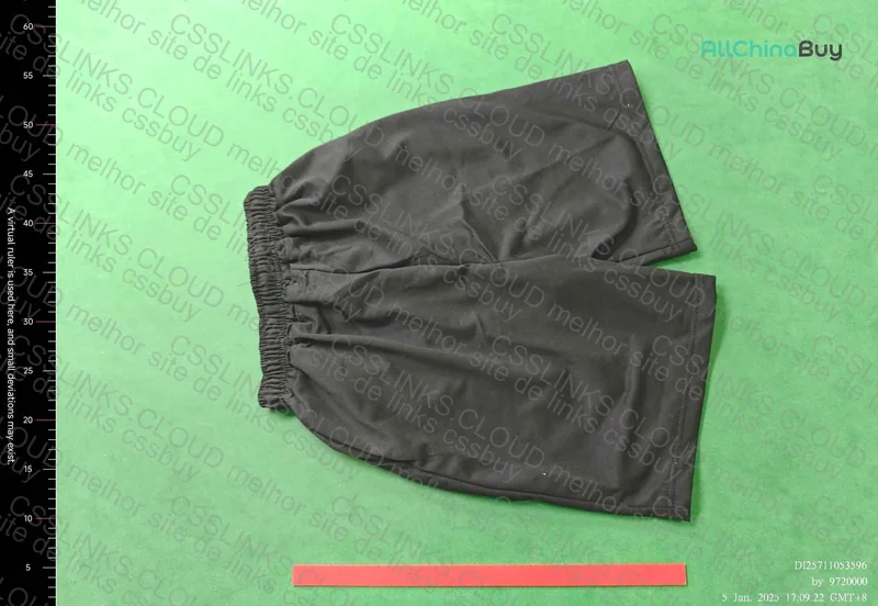 Stussy Shorts 2