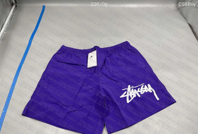 Stussy Shorts (Purple) GL?