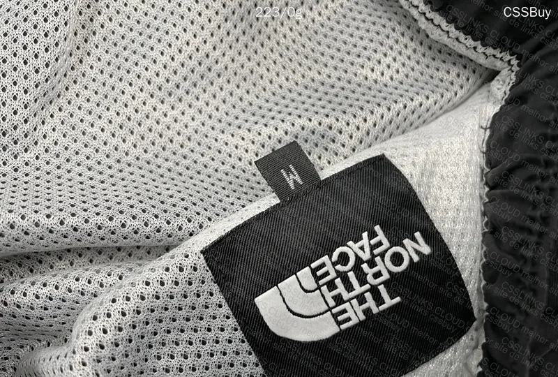 The North Face Shorts 2