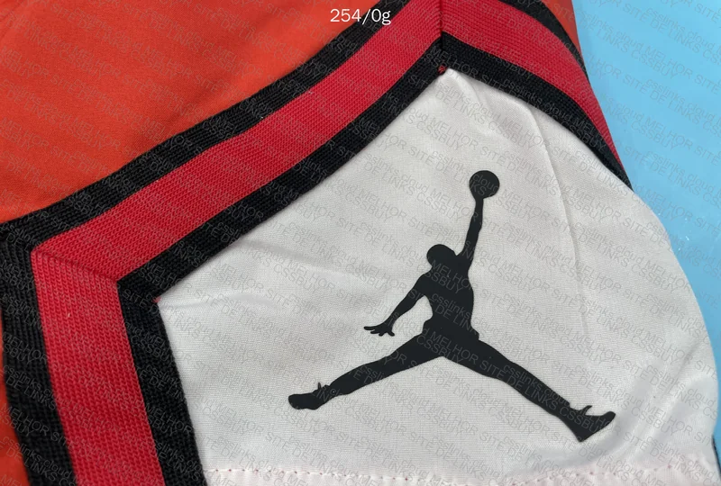Jordan Shorts 7