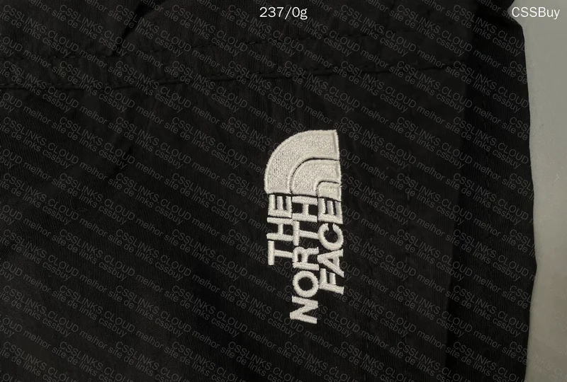 THE NORTH FACE TNF Shorts 2