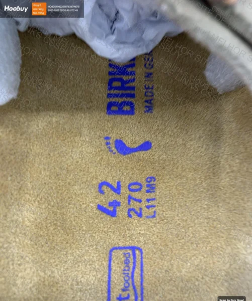 Birken Arizona (GL?) 2