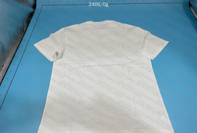 Blind Box 2x Shirt DragonReps