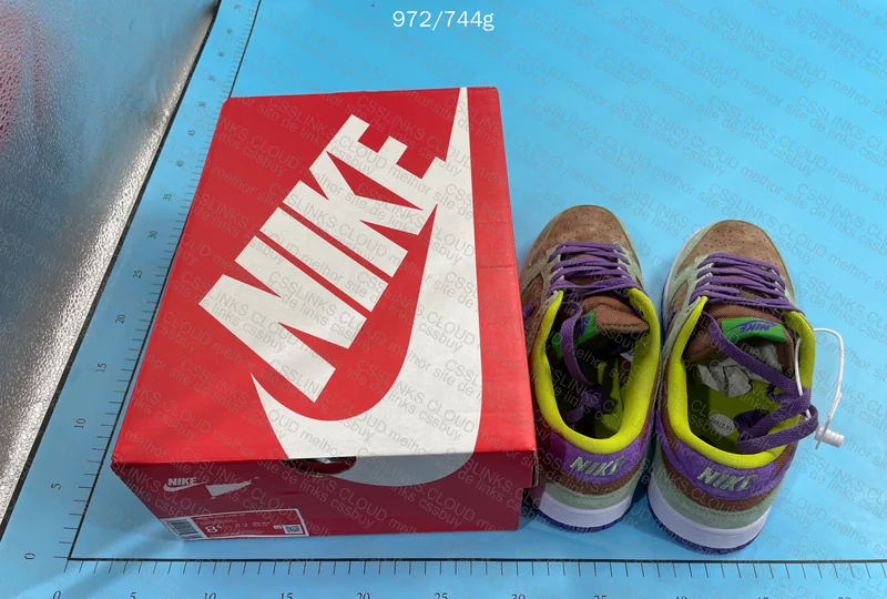 Dunk Veneer Blind Box GL or RL? 6