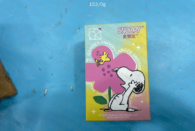 Blind Box Snoopy 3