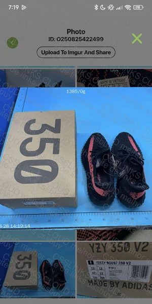 Blind Box Yeezy 6