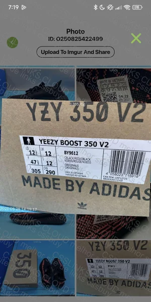Blind Box Yeezy 7