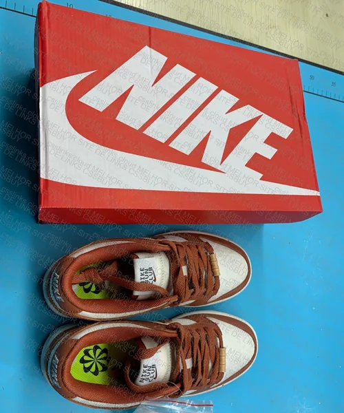 Blindbox Dunk