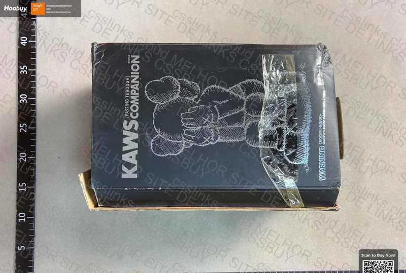 BlindBox KAWS
