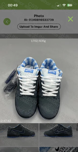 Blue Lobster Promo