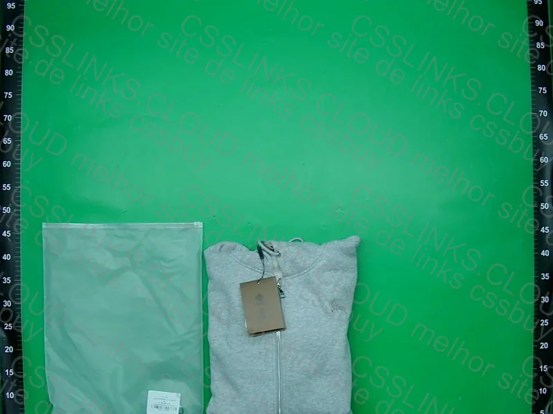 Burberry Shirt 5