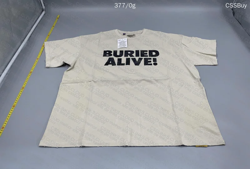 Gallery Dept Hoodie 2