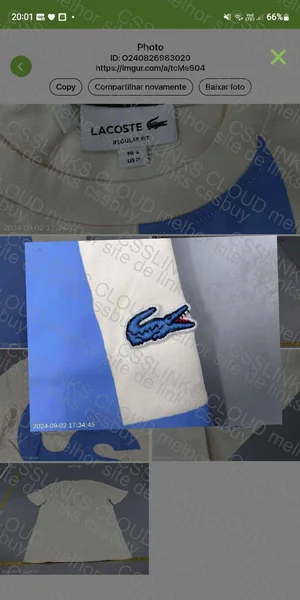 Lacoste Hoodie 57y 4