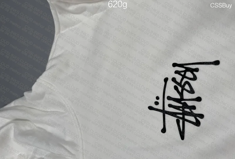 Stussy Shirt 2