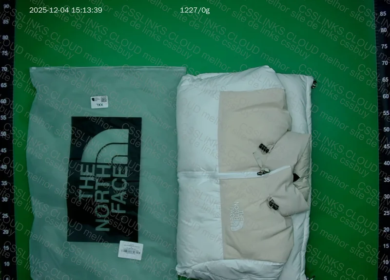 The North Face Jacket