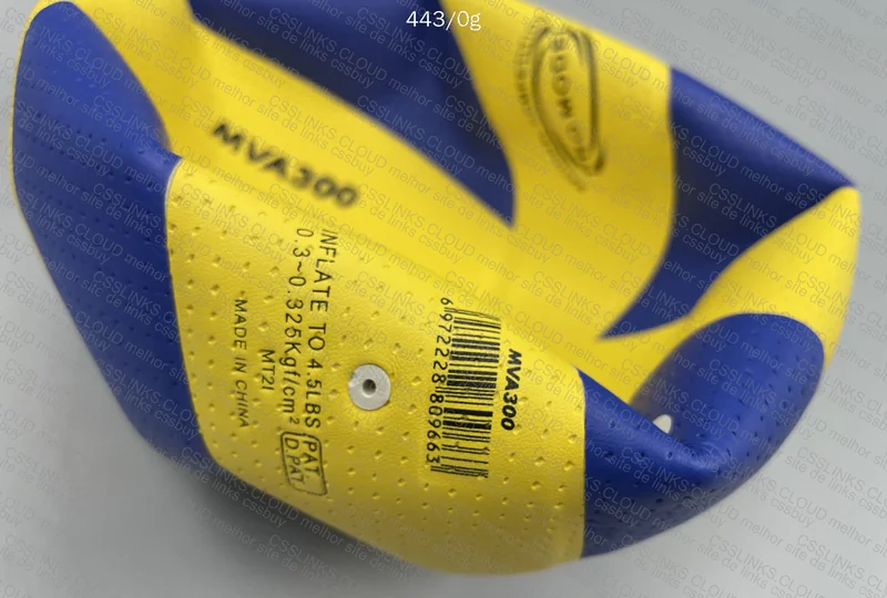 Volleyball MVA300 2