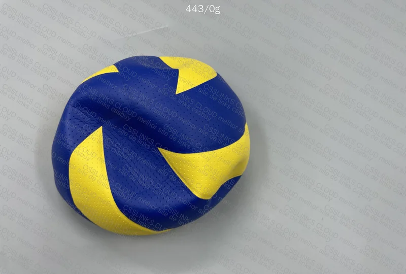 Volleyball MVA300 3