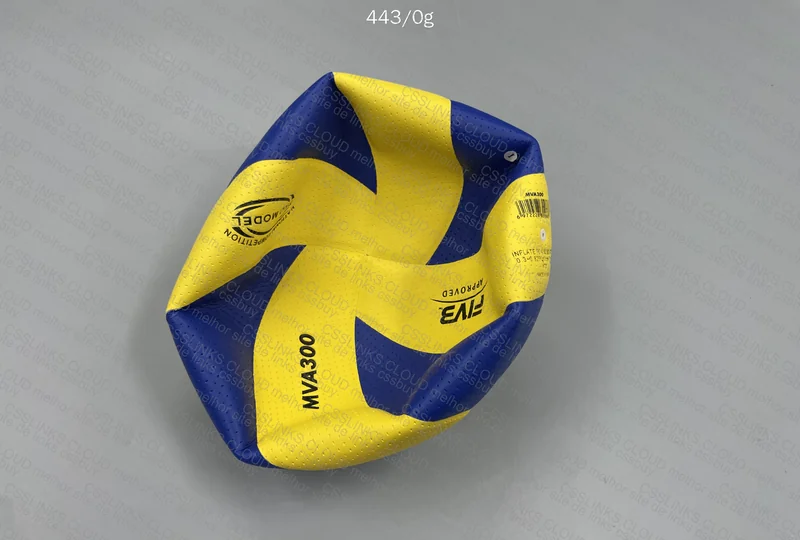 Volleyball MVA300 5