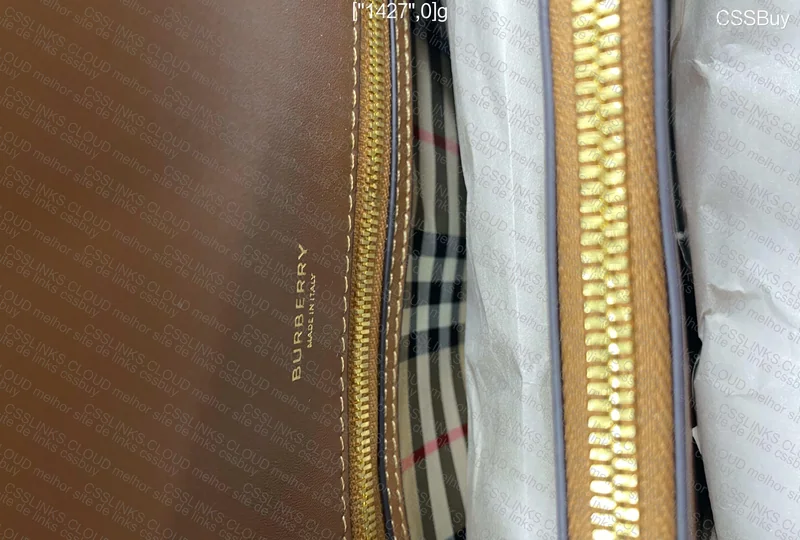 Burberry Bag for My Mom 4