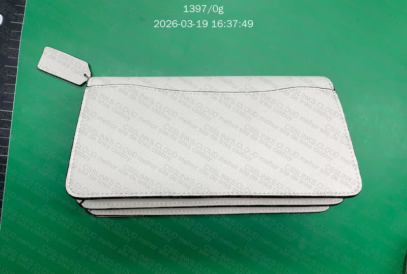 Bolsa Coach 4