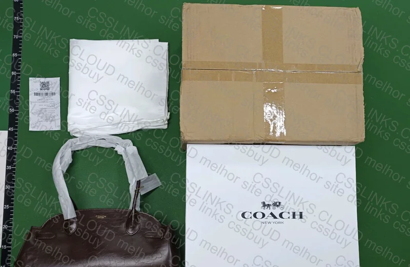 Bolsa coach 3