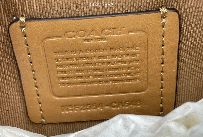 Coach Bag (for Woman) 2